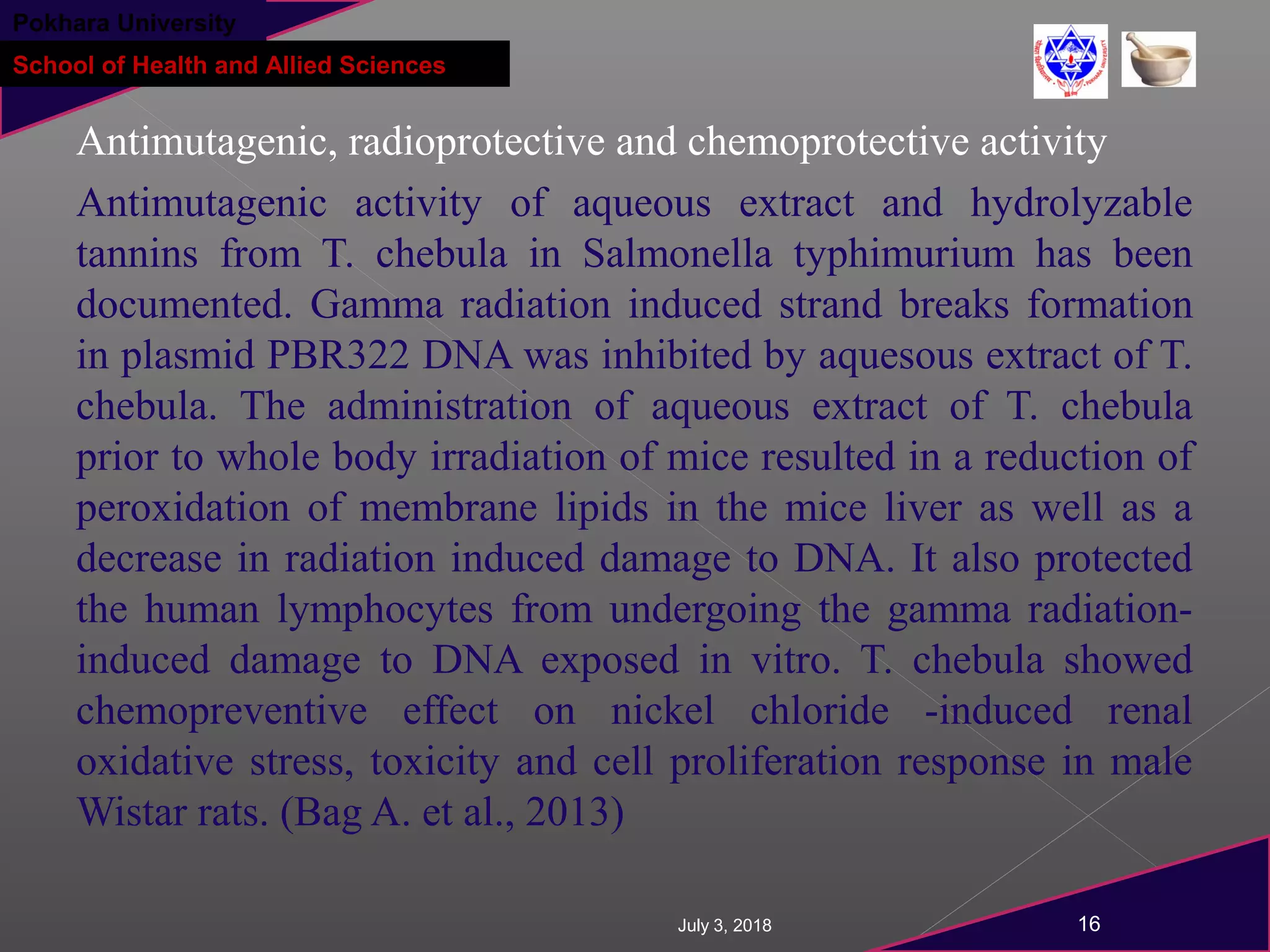 7.terminalia chebula (harro) | PPT
