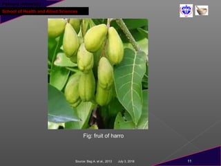 Pokhara University
School of Health and Allied Sciences
July 3, 2018Source: Bag A. et al., 2013 11
Fig: fruit of harro
 