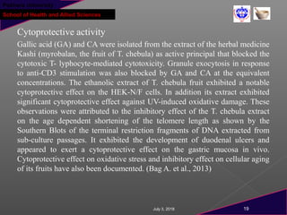 Pokhara University
School of Health and Allied Sciences
Cytoprotective activity
Gallic acid (GA) and CA were isolated from the extract of the herbal medicine
Kashi (myrobalan, the fruit of T. chebula) as active principal that blocked the
cytotoxic T- lyphocyte-mediated cytotoxicity. Granule exocytosis in response
to anti-CD3 stimulation was also blocked by GA and CA at the equivalent
concentrations. The ethanolic extract of T. chebula fruit exhibited a notable
cytoprotective effect on the HEK-N/F cells. In addition its extract exhibited
significant cytoprotective effect against UV-induced oxidative damage. These
observations were attributed to the inhibitory effect of the T. chebula extract
on the age dependent shortening of the telomere length as shown by the
Southern Blots of the terminal restriction fragments of DNA extracted from
sub-culture passages. It exhibited the development of duodenal ulcers and
appeared to exert a cytoprotective effect on the gastric mucosa in vivo.
Cytoprotective effect on oxidative stress and inhibitory effect on cellular aging
of its fruits have also been documented. (Bag A. et al., 2013)
July 3, 2018 19
 