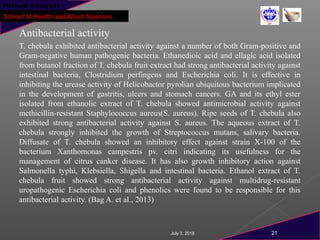 Pokhara University
School of Health and Allied Sciences
Antibacterial activity
T. chebula exhibited antibacterial activity against a number of both Gram-positive and
Gram-negative human pathogenic bacteria. Ethanedioic acid and ellagic acid isolated
from butanol fraction of T. chebula fruit extract had strong antibacterial activity against
intestinal bacteria, Clostridium perfingens and Escherichia coli. It is effective in
inhibiting the urease activity of Helicobactor pyrolian ubiquitous bacterium implicated
in the development of gastritis, ulcers and stomach cancers. GA and its ethyl ester
isolated from ethanolic extract of T. chebula showed antimicrobial activity against
methicillin-resistant Staphylococcus aureus(S. aureus). Ripe seeds of T. chebula also
exhibited strong antibacterial activity against S. aureus. The aqueous extract of T.
chebula strongly inhibited the growth of Streptococcus mutans, salivary bacteria.
Diffusate of T. chebula showed an inhibitory effect against strain X-100 of the
bacterium Xanthomonas campestris pv. citri indicating its usefulness for the
management of citrus canker disease. It has also growth inhibitory action against
Salmonella typhi, Klebsiella, Shigella and intestinal bacteria. Ethanol extract of T.
chebula fruit showed strong antibacterial activity against multidrug-resistant
uropathogenic Escherichia coli and phenolics were found to be responsible for this
antibacterial activity. (Bag A. et al., 2013)
July 3, 2018 21
 