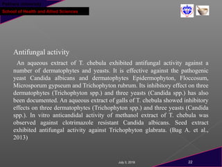Pokhara University
School of Health and Allied Sciences
Antifungal activity
An aqueous extract of T. chebula exhibited antifungal activity against a
number of dermatophytes and yeasts. It is effective against the pathogenic
yeast Candida albicans and dermatophytes Epidermophyton, Floccosum,
Microsporum gypseum and Trichophyton rubrum. Its inhibitory effect on three
dermatophytes (Trichophyton spp.) and three yeasts (Candida spp.) has also
been documented. An aqueous extract of galls of T. chebula showed inhibitory
effects on three dermatophytes (Trichophyton spp.) and three yeasts (Candida
spp.). In vitro anticandidal activity of methanol extract of T. chebula was
observed against clotrimazole resistant Candida albicans. Seed extract
exhibited antifungal activity against Trichophyton glabrata. (Bag A. et al.,
2013)
July 3, 2018 22
 