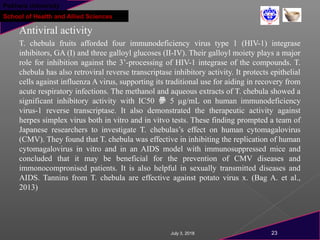Pokhara University
School of Health and Allied Sciences
Antiviral activity
T. chebula fruits afforded four immunodeficiency virus type 1 (HIV-1) integrase
inhibitors, GA (I) and three galloyl glucoses (II-IV). Their galloyl moiety plays a major
role for inhibition against the 3’-processing of HIV-1 integrase of the compounds. T.
chebula has also retroviral reverse transcriptase inhibitory activity. It protects epithelial
cells against influenza A virus, supporting its traditional use for aiding in recovery from
acute respiratory infections. The methanol and aqueous extracts of T. chebula showed a
significant inhibitory activity with IC50 曑 5 µg/mL on human immunodeficiency
virus-1 reverse transcriptase. It also demonstrated the therapeutic activity against
herpes simplex virus both in vitro and in vitvo tests. These finding prompted a team of
Japanese researchers to investigate T. chebulas’s effect on human cytomagalovirus
(CMV). They found that T. chebula was effective in inhibiting the replication of human
cytomagalovirus in vitro and in an AIDS model with immunosuppressed mice and
concluded that it may be beneficial for the prevention of CMV diseases and
immonocompronised patients. It is also helpful in sexually transmitted diseases and
AIDS. Tannins from T. chebula are effective against potato virus x. (Bag A. et al.,
2013)
July 3, 2018 23
 