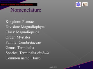 Pokhara University
School of Health and Allied Sciences
Kingdom: Plantae
Division: Magnoliophyta
Class: Magnoliopsida
Order: Myrtales
Family: Combretaceae
Genus: Terminalia
Species: Terminalia chebula
Common name: Harro
July 3, 2018 5
 
