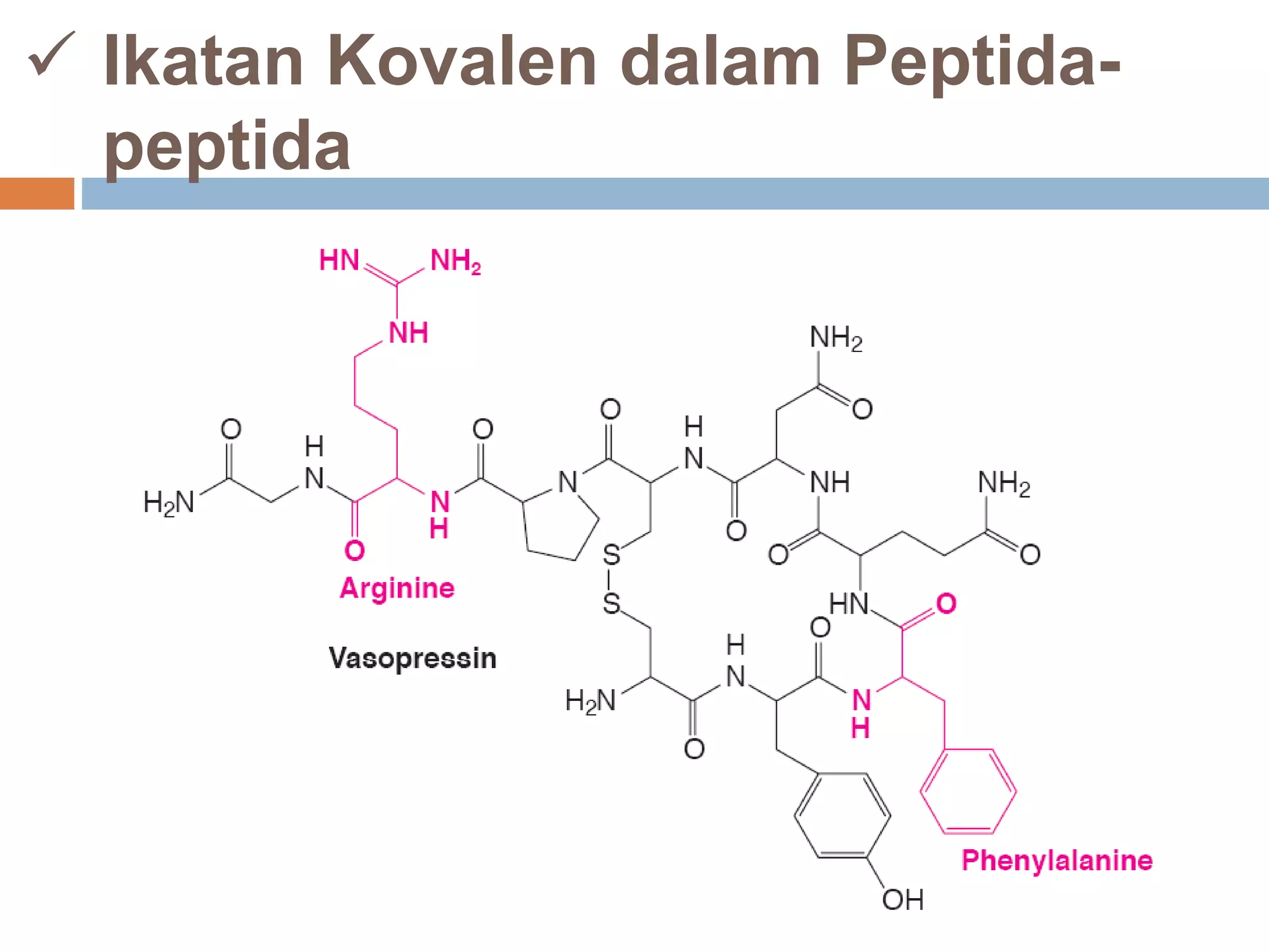  Ikatan Kovalen dalam Peptida-
peptida
 