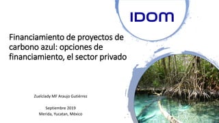Financiamiento de proyectos de
carbono azul: opciones de
financiamiento, el sector privado
Zuelclady MF Araujo Gutiérrez
Septiembre 2019
Merida, Yucatan, México
 