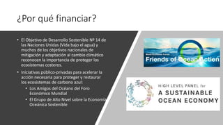 Financiamiento de proyectos de carbono azul: opciones de financiamiento, el sector privado