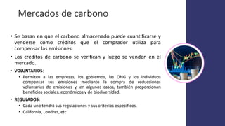 Financiamiento de proyectos de carbono azul: opciones de financiamiento, el sector privado