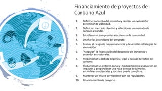 Financiamiento de proyectos de carbono azul: opciones de financiamiento, el sector privado