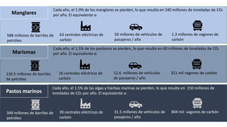 Financiamiento de proyectos de carbono azul: opciones de financiamiento, el sector privado