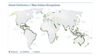 Venta de
carbono
Actividades
turísticas
Actividades
productivas
Elementos económicos
Servicios
ecosistémicos
(soluciones b...