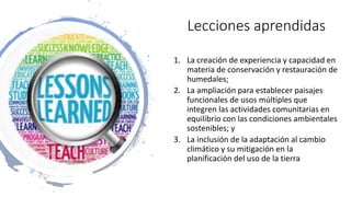 Financiamiento de proyectos de carbono azul: opciones de financiamiento, el sector privado