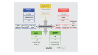 Financiamiento de proyectos de carbono azul: opciones de financiamiento, el sector privado