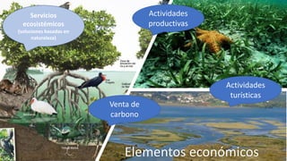 Mitigación
Adaptación
Biodiversidad
Elementos ambientales
Resiliencia
Soluciones basadas
en naturaleza
 
