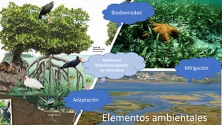 Financiamiento de proyectos de carbono azul: opciones de financiamiento, el sector privado