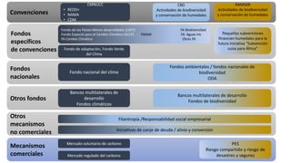 Financiamiento de proyectos de carbono azul: opciones de financiamiento, el sector privado