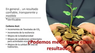 Financiamiento de proyectos de carbono azul: opciones de financiamiento, el sector privado