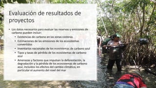 Financiamiento de proyectos de carbono azul: opciones de financiamiento, el sector privado