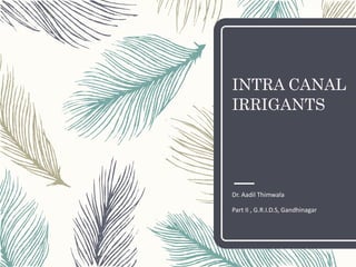 INTRA CANAL
IRRIGANTS
Dr. Aadil Thimwala
Part II , G.R.I.D.S, Gandhinagar
 