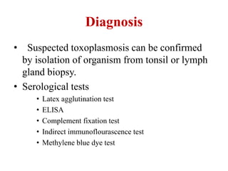 Diagnosis
• Suspected toxoplasmosis can be confirmed
by isolation of organism from tonsil or lymph
gland biopsy.
• Serological tests
• Latex agglutination test
• ELISA
• Complement fixation test
• Indirect immunoflourascence test
• Methylene blue dye test
 