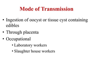 Mode of Transmission
• Ingestion of oocyst or tissue cyst containing
edibles
• Through placenta
• Occupational
• Laboratory workers
• Slaughter house workers
 