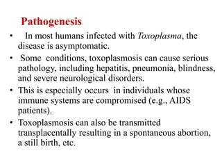 • In most humans infected with Toxoplasma, the
disease is asymptomatic.
• Some conditions, toxoplasmosis can cause serious
pathology, including hepatitis, pneumonia, blindness,
and severe neurological disorders.
• This is especially occurs in individuals whose
immune systems are compromised (e.g., AIDS
patients).
• Toxoplasmosis can also be transmitted
transplacentally resulting in a spontaneous abortion,
a still birth, etc.
Pathogenesis
 