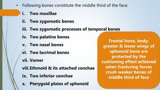7. fractures of middle third of facial skeleton | PPTX