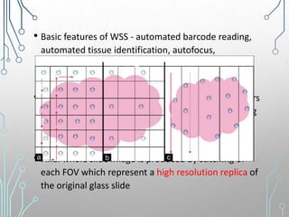• Basic features of WSS - automated barcode reading,
automated tissue identification, autofocus,
autoscanning and automated image compression
• Whole slide scanners use digital cameras with sensors
to capture each FOV using tile-or line-based scanning
methods
• Final whole slide image is produced by stitching of
each FOV which represent a high resolution replica of
the original glass slide
 