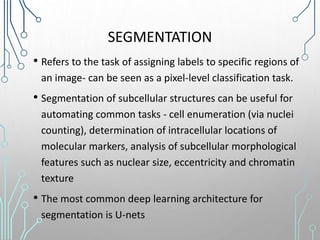 SEGMENTATION
• Refers to the task of assigning labels to specific regions of
an image- can be seen as a pixel-level classification task.
• Segmentation of subcellular structures can be useful for
automating common tasks - cell enumeration (via nuclei
counting), determination of intracellular locations of
molecular markers, analysis of subcellular morphological
features such as nuclear size, eccentricity and chromatin
texture
• The most common deep learning architecture for
segmentation is U-nets
 