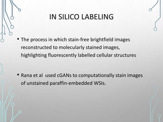 IN SILICO LABELING
• The process in which stain-free brightfield images
reconstructed to molecularly stained images,
highlighting fluorescently labelled cellular structures
• Rana et al used cGANs to computationally stain images
of unstained paraffin-embedded WSIs.
 