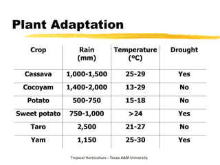 Tropical Horticulture - Texas A&M University
Plant Adaptation
Crop Rain
(mm)
Temperature
(ºC)
Drought
Cassava 1,000-1,500 25-29 Yes
Cocoyam 1,400-2,000 13-29 No
Potato 500-750 15-18 No
Sweet potato 750-1,000 >24 Yes
Taro 2,500 21-27 No
Yam 1,150 25-30 Yes
 