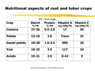 Tropical Horticulture - Texas A&M University
Nutritional aspects of root and tuber crops
Crop Starch
% FW
Protein
% FW
Vitamin A
mg/100g FW
Vitamin C
mg/100g FW
Cassava 27-36 0.5-2.0 17 50
Potato 13-16 2.0 Trace 31
Sweet potato 18-28 1.0-2.5 900 35
Yam 18-25 2.5 117 24
Aroids 19-21 2.0 0-42 9
FW = fresh weight
 
