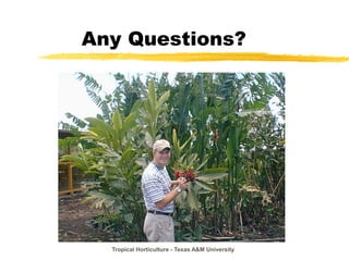 Tropical Horticulture - Texas A&M University
Any Questions?
 
