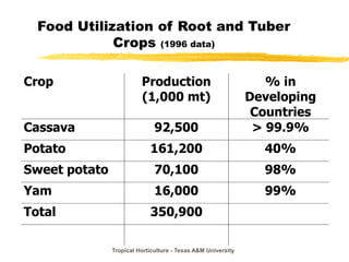 Tropical Horticulture - Texas A&M University
Food Utilization of Root and Tuber
Crops (1996 data)
Crop Production
(1,000 mt)
% in
Developing
Countries
Cassava 92,500 > 99.9%
Potato 161,200 40%
Sweet potato 70,100 98%
Yam 16,000 99%
Total 350,900
 