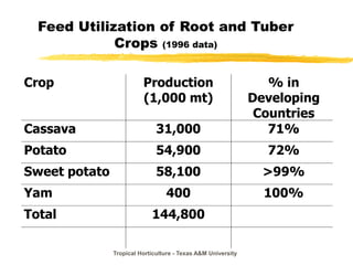 Tropical Horticulture - Texas A&M University
Feed Utilization of Root and Tuber
Crops (1996 data)
Crop Production
(1,000 mt)
% in
Developing
Countries
Cassava 31,000 71%
Potato 54,900 72%
Sweet potato 58,100 >99%
Yam 400 100%
Total 144,800
 