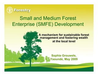 Small and Medium Forest
Enterprise (SMFE) Development

          A mechanism for sustainable forest
           management and fostering wealth
                  at the local level



                  Sophie Grouwels,
                 Yaoundé, May 2009
 
