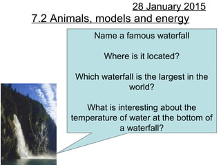 7.2 Animals, models and energy
28 January 2015
Name a famous waterfall
Where is it located?
Which waterfall is the largest in the
world?
What is interesting about the
temperature of water at the bottom of
a waterfall?
 