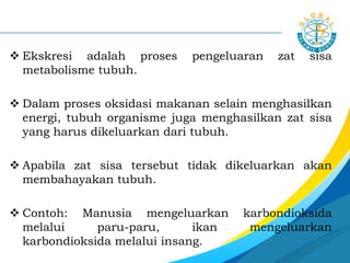  Ekskresi adalah proses pengeluaran zat sisa
metabolisme tubuh.
 Dalam proses oksidasi makanan selain menghasilkan
energi, tubuh organisme juga menghasilkan zat sisa
yang harus dikeluarkan dari tubuh.
 Apabila zat sisa tersebut tidak dikeluarkan akan
membahayakan tubuh.
 Contoh: Manusia mengeluarkan karbondioksida
melalui paru-paru, urine melalui ginjal, keringat
melalui kulit, dan bilirubun melalui hati.
 ikan mengeluarkan karbondioksida melalui insang.
 