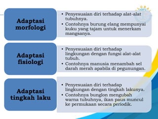• Adaptasi adalah kemampuan makhluk
hidup untuk menyesuaikan diri terhadap
lingkungan dan untuk mempertahankan
diri.
Adaptasi
Adaptasi
morfologi
Adaptasi
fisiologi
Adaptasi
tingkah
laku
 