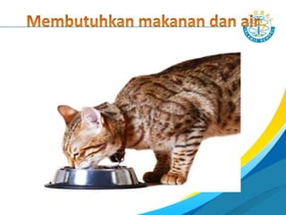 Ciri – ciri Mahluk hidup sebagai berikut:
1. Bernapas (Respirasi)
2. Membutuhkan makanan dan air (Nutrisi)
3. Bergerak
4. Tumbuh dan berkembang
5. Peka terhadap rangsang (iritabilita)
6. Mengeluarkan zat sisa (ekskresi)
7. Berkembang biak (reproduksi)
8. Adaptasi
 