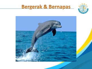 Bernapas
 