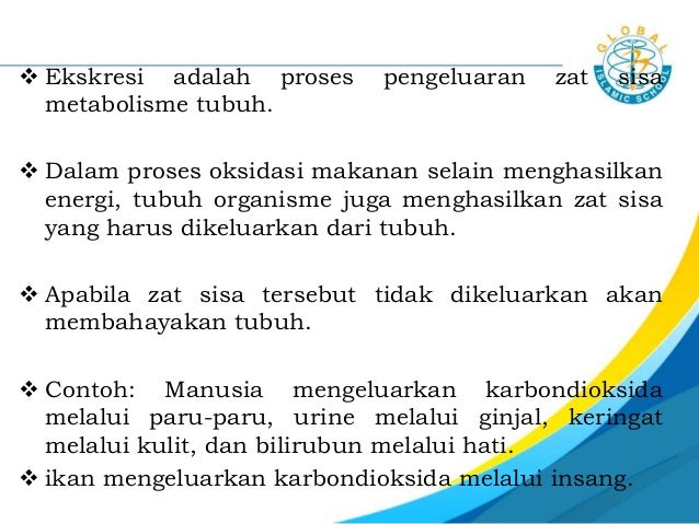 7 2 ciri ciri makhluk hidup 7 2 ciri ciri makhluk hidup