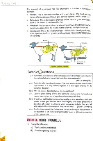 Nutrition in Animals | PDF