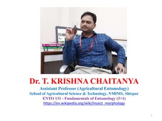 1
Dr. T. KRISHNA CHAITANYA
Assistant Professor (Agricultural Entomology)
School of Agricultural Science & Technology, NMIMS, Shirpur
ENTO 131 - Fundamentals of Entomology (3+1)
https://en.wikipedia.org/wiki/Insect_morphology
 