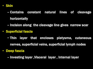 Anatomy of neck, deep neck spaces | PPT