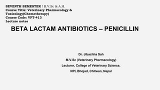 BETA LACTAM ANTIBIOTICS – PENICILLIN
Dr. Jibachha Sah
M.V.Sc (Veterinary Pharmacology)
Lecturer, College of Veterinary Science,
NPI, Bhojad, Chitwan, Nepal
SEVENTH SEMESTER ! B.V.Sc & A.H.
Course Title: Veterinary Pharmacology &
Toxicology(Chemotherapy)
Course Code: VPT-413
Lecture notes
 