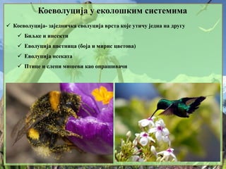 Коеволуција у еколошким системима
 Коеволуција- заједничка еволуција врста које утичу једна на другу
 Биљке и инсекти
 Еволуција цветница (боја и мирис цветова)
 Еволуција нсеката
 Птице и слепи мишеви као опрашивачи
 