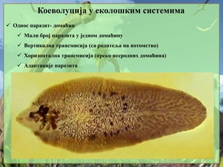 Коеволуција у еколошким системима
 Однос паразит- домаћин
 Мали број паразита у једном домаћину
 Вертикална трансмисија (са родитеља на потомство)
 Хоризонтална трансмисија (преко несродних домаћина)
 Адаптације паразита
 