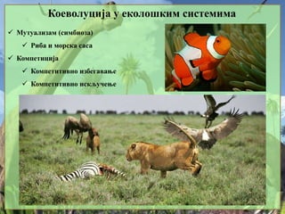 Коеволуција у еколошким системима
 Мутуализам (симбиоза)
 Риба и морска саса
 Компетиција
 Компетитивно избегавање
 Компетитивно искључење
 