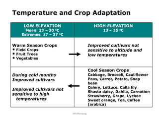 Temperature and Crop Adaptation
LOW ELEVATION
Mean: 23 – 30 oC
Extremes: 17 – 37 oC
HIGH ELEVATION
13 – 25 oC
Warm Season Crops
• Field Crops
• Fruit Trees
• Vegetables
Improved cultivars not
sensitive to altitude and
low temperatures
During cold months
Improved cultivars
Improved cultivars not
sensitive to high
temperatures
Cool Season Crops
Cabbage, Broccoli, Cauliflower
Peas, Carrot, Potato, Snap
bean
Celery, Lettuce, Calla lily
Shasta daisy, Dahlia, Carnation
Strawberry, Grape, Lychee
Sweet orange, Tea, Coffee
(arabica)
JMUBanayag
 