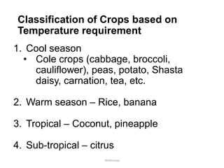 Classification of Crops based on
Temperature requirement
1. Cool season
• Cole crops (cabbage, broccoli,
cauliflower), peas, potato, Shasta
daisy, carnation, tea, etc.
2. Warm season – Rice, banana
3. Tropical – Coconut, pineapple
4. Sub-tropical – citrus
JMUBanayag
 